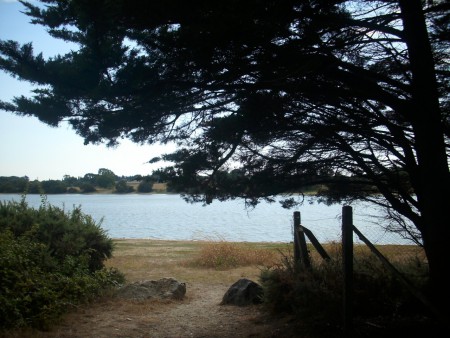 Saint-Brévin-Les-Pins